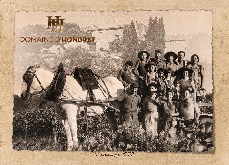 Domaine d'Hondrat familial vineyard domain in Villeveyrac Languedoc France