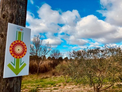 WhatsApp Image 2026-03-24 at 14.28.292.jpeg