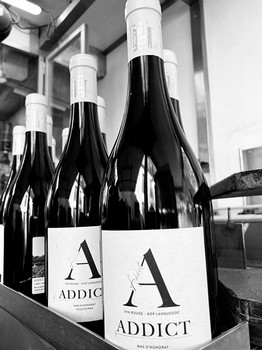 WhatsApp Image 2023-04-24 à 17.04.4215.jpg