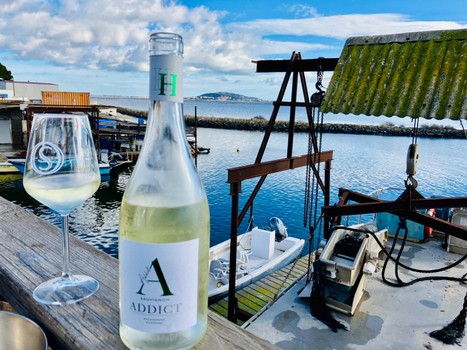 WhatsApp Image 2025-01-15 à 16.21.03_d9d9a40f.jpg