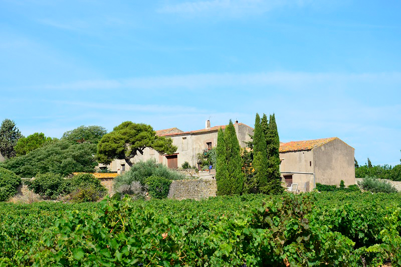 Domaine d'Hondrat domaine viticole familial à Villeveyrac